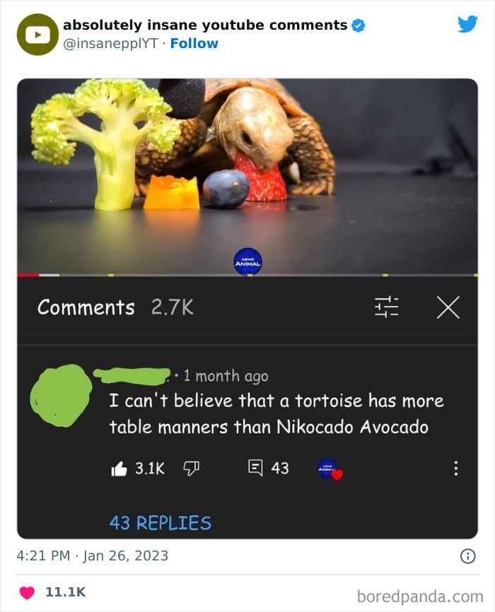 Absolutely-Insane-Youtube-Comments