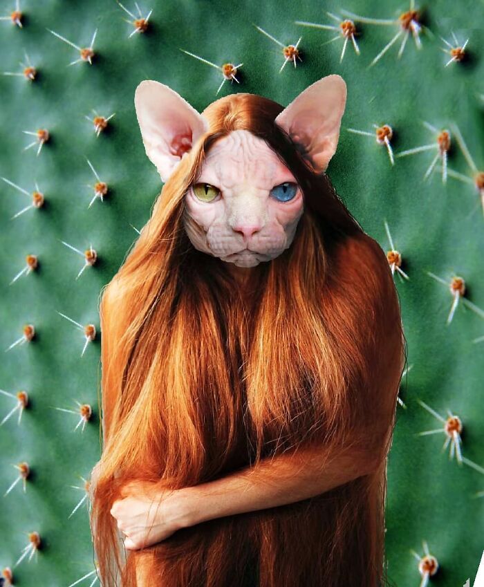 An Artist Creates Photo Collages With Cats And They're Weirdly Purrrfect (29 Pics)