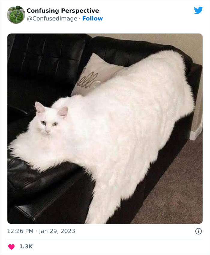 Optical-Illusion-Pics-Confusing-Perspective