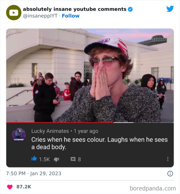 Absolutely-Insane-Youtube-Comments