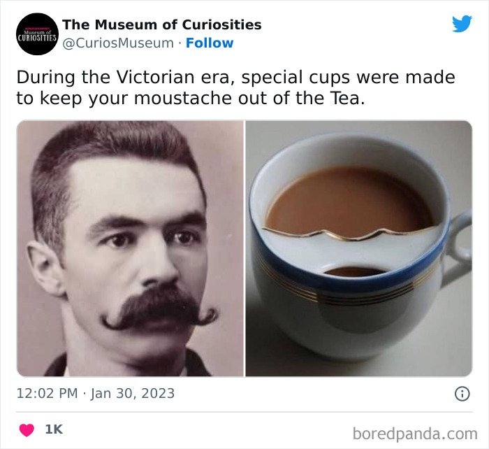 Interesting-Pics-The-Museum-Of-Curiosities