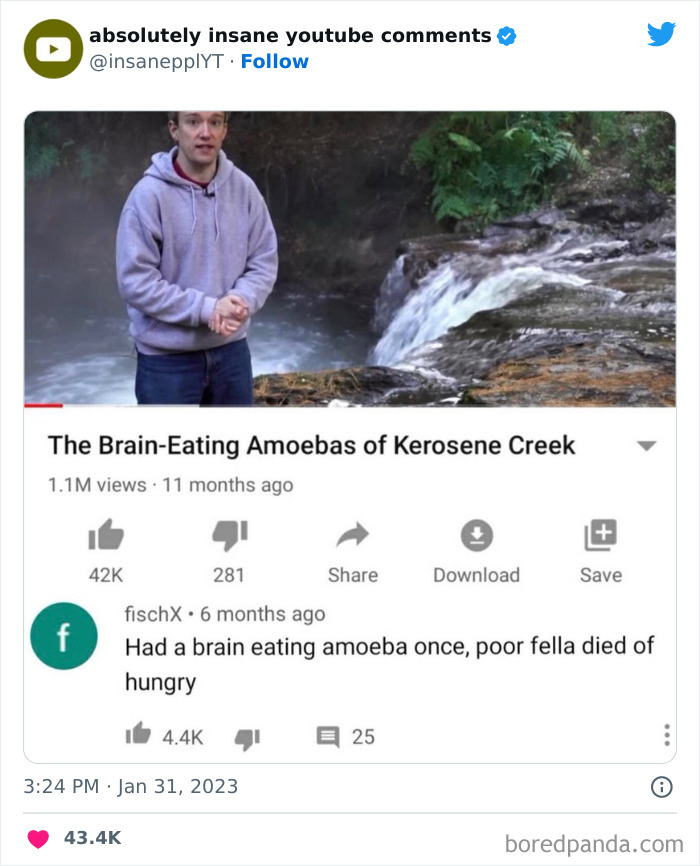 Absolutely-Insane-Youtube-Comments