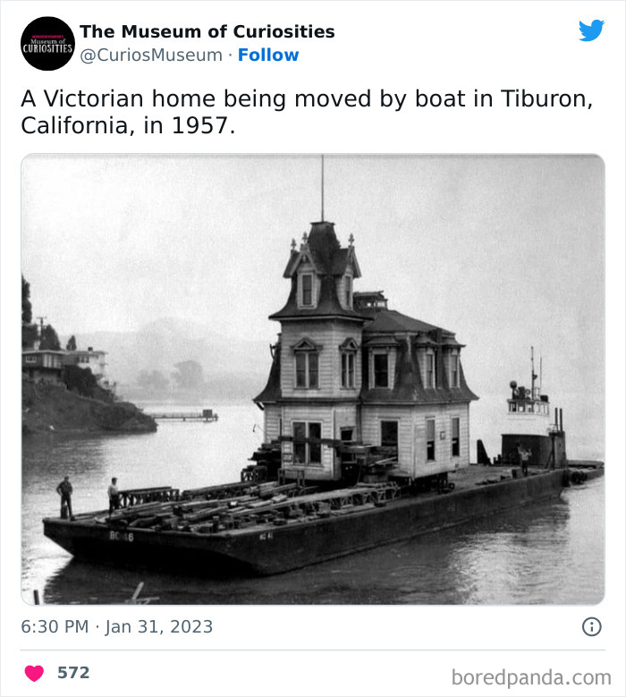 Interesting-Pics-The-Museum-Of-Curiosities