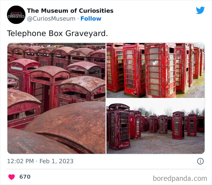Interesting-Pics-The-Museum-Of-Curiosities