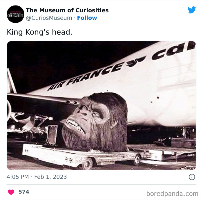 Interesting-Pics-The-Museum-Of-Curiosities