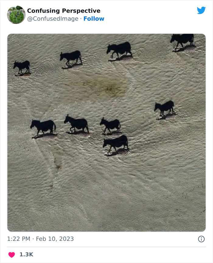 Optical-Illusion-Pics-Confusing-Perspective