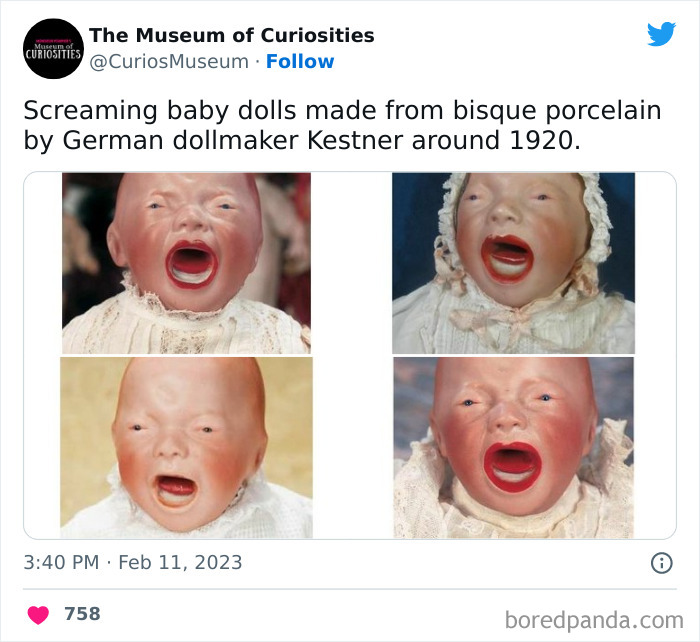 Interesting-Pics-The-Museum-Of-Curiosities