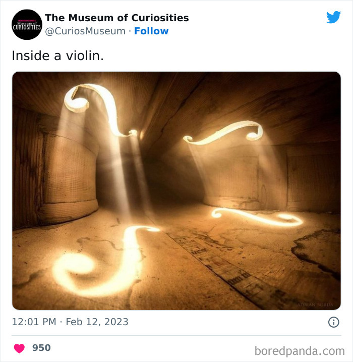 Interesting-Pics-The-Museum-Of-Curiosities