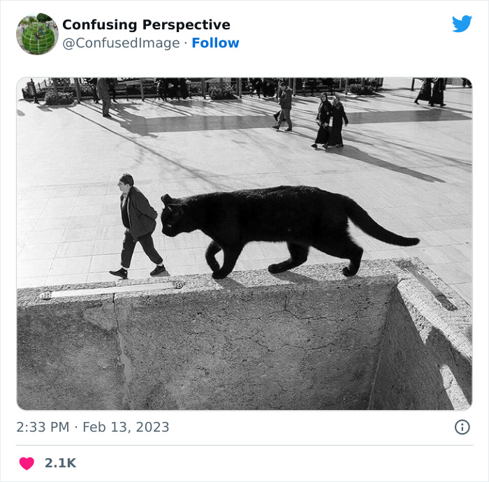 Optical-Illusion-Pics-Confusing-Perspective