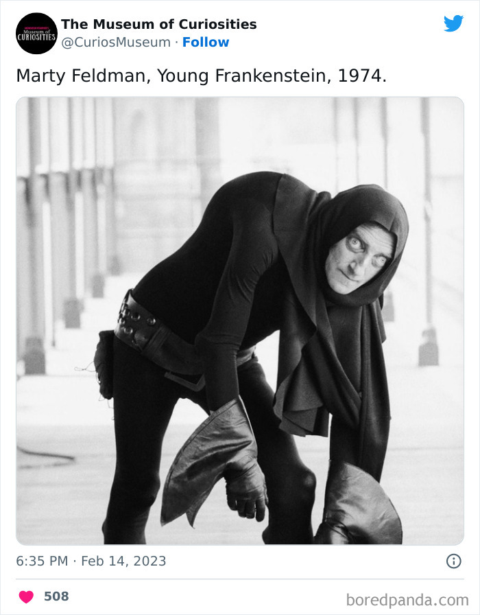 Interesting-Pics-The-Museum-Of-Curiosities