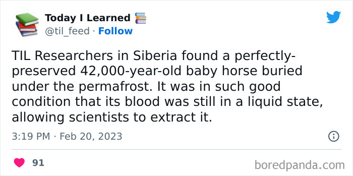 Today-I-Learned-Interesting-World-Facts