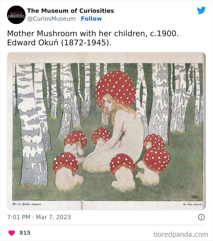 Interesting-Pics-The-Museum-Of-Curiosities