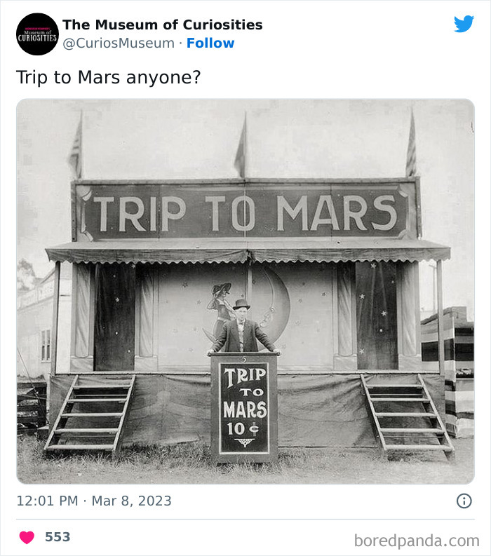 Interesting-Pics-The-Museum-Of-Curiosities