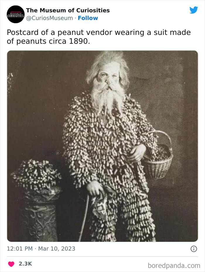 Interesting-Pics-The-Museum-Of-Curiosities