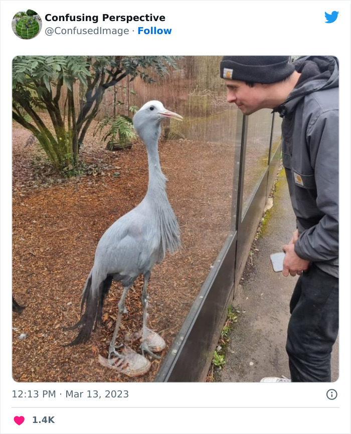 Optical-Illusion-Pics-Confusing-Perspective