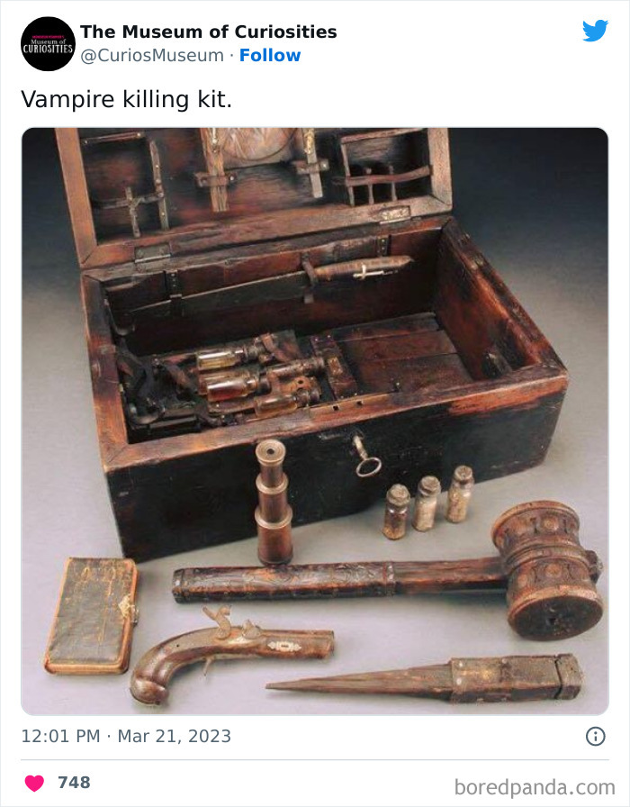 Interesting-Pics-The-Museum-Of-Curiosities