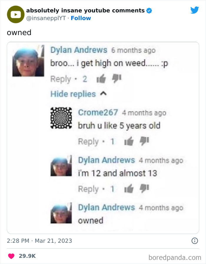 Absolutely-Insane-Youtube-Comments