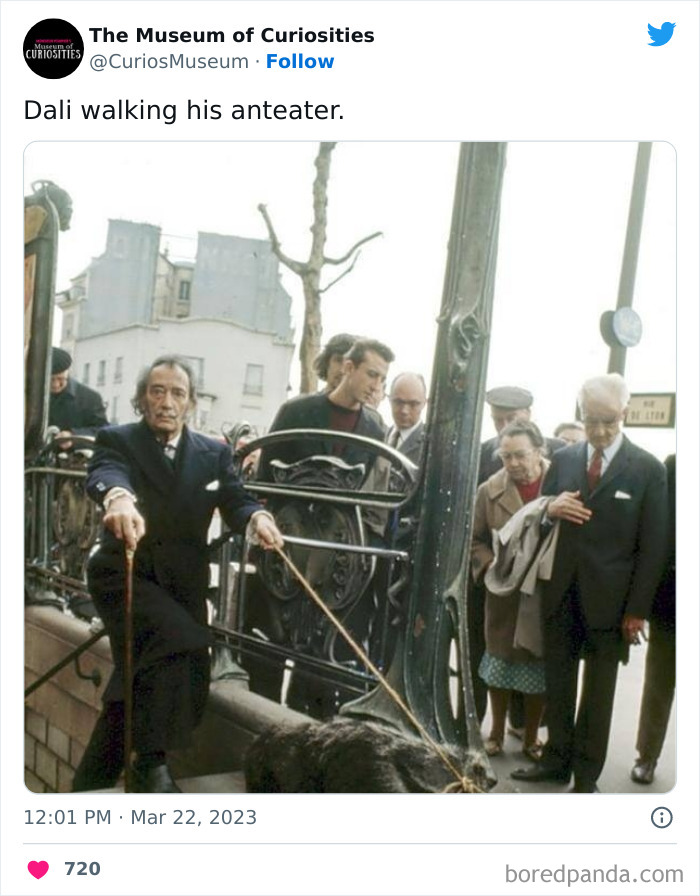 Interesting-Pics-The-Museum-Of-Curiosities