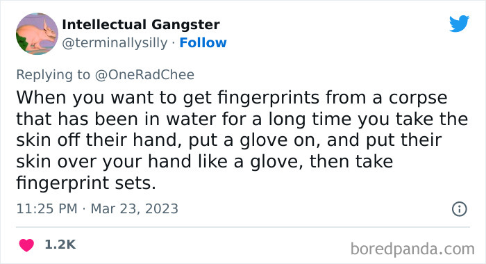 Little-Known-Facts-Profession