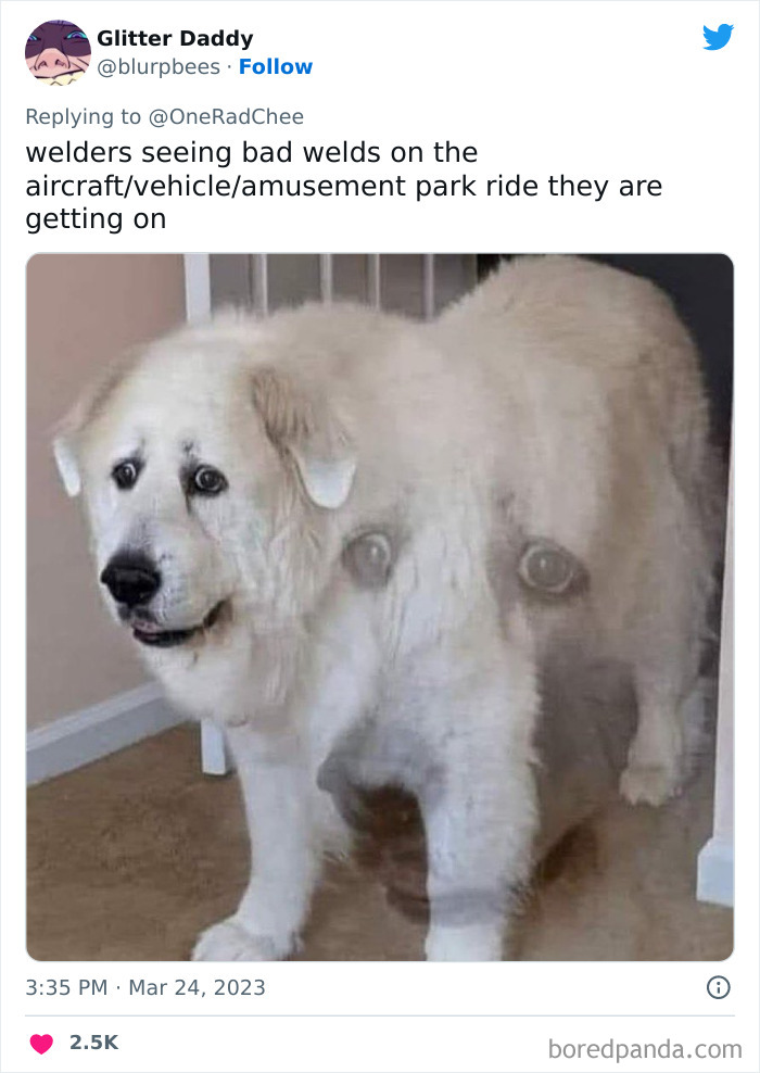 Little-Known-Facts-Profession