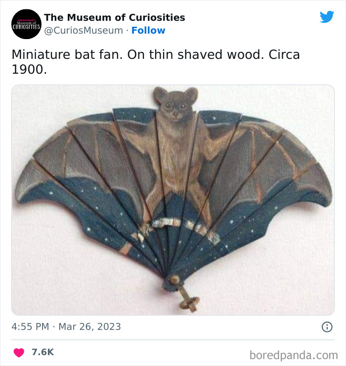 Interesting-Pics-The-Museum-Of-Curiosities