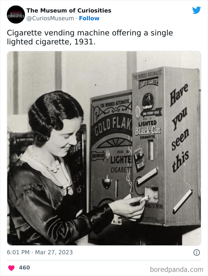 Interesting-Pics-The-Museum-Of-Curiosities