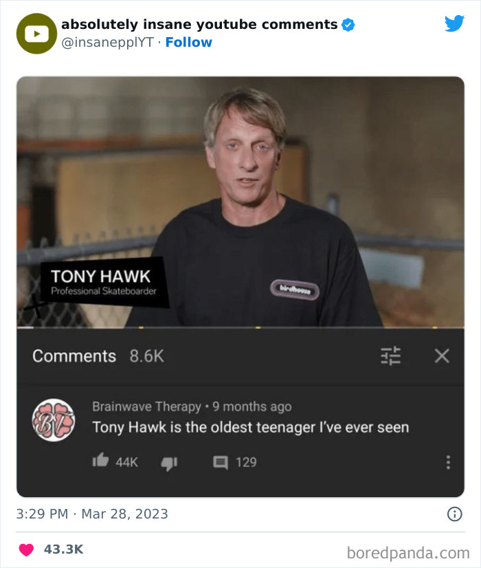 Absolutely-Insane-Youtube-Comments