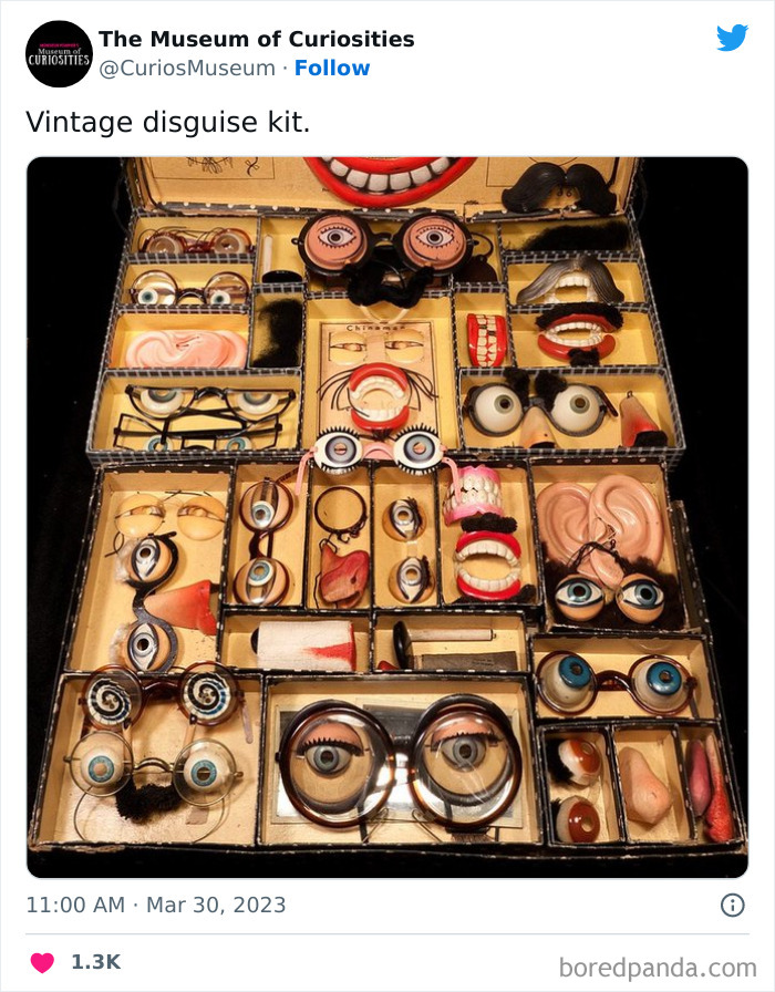 Interesting-Pics-The-Museum-Of-Curiosities