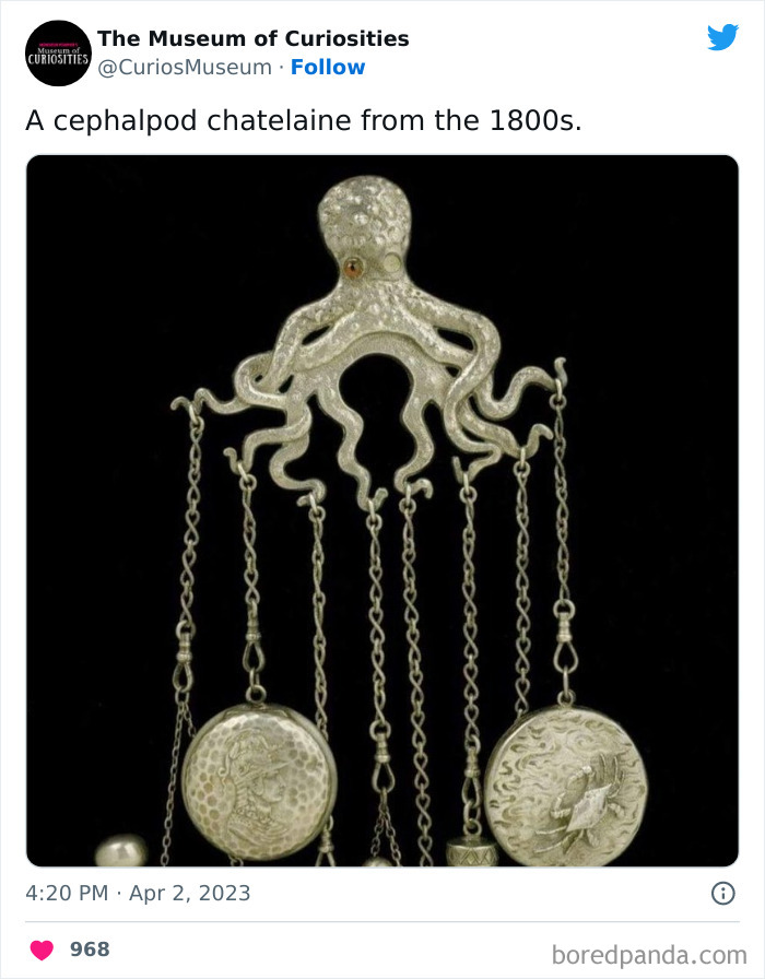 Interesting-Pics-The-Museum-Of-Curiosities