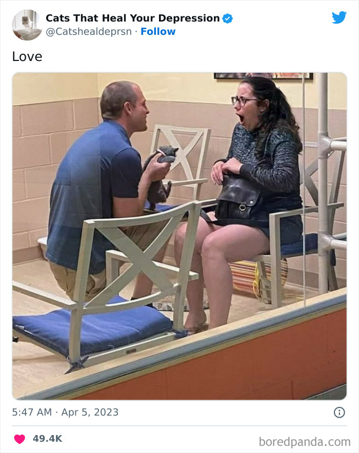 Heart-Warming-Cat-Pics