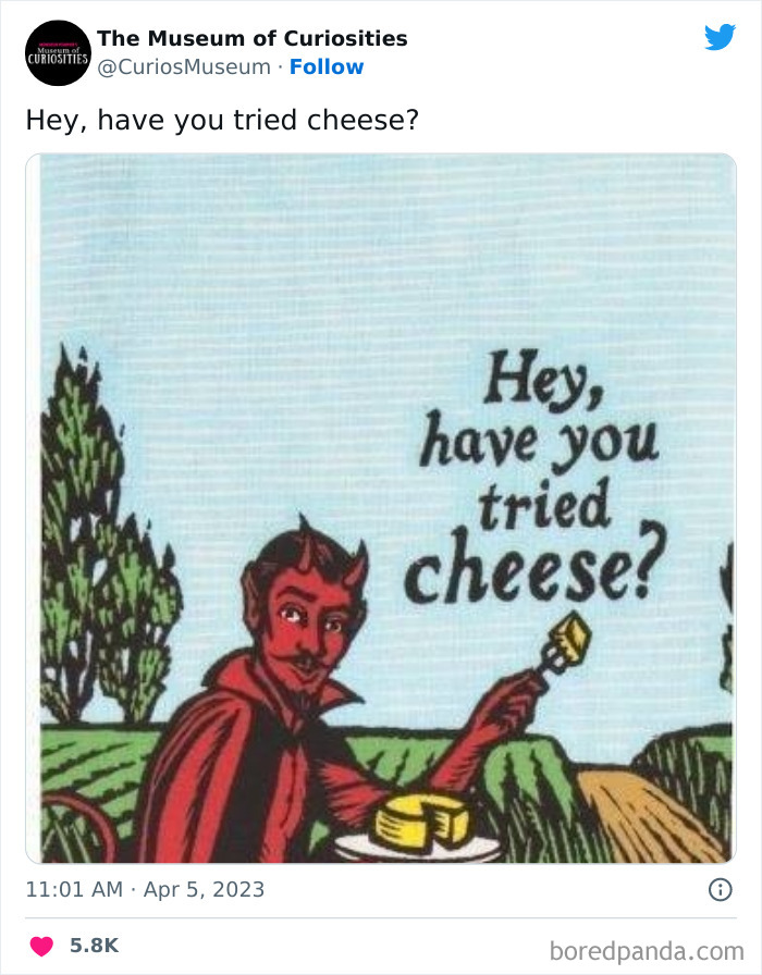 Interesting-Pics-The-Museum-Of-Curiosities