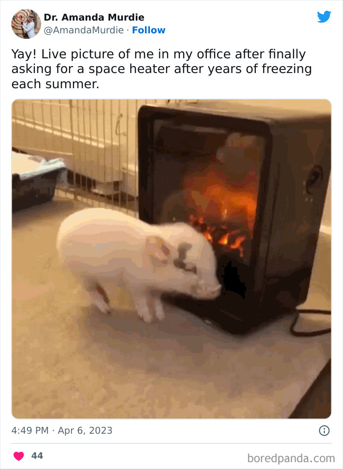 Funny-Freezing-Office-Temperature-Tweets