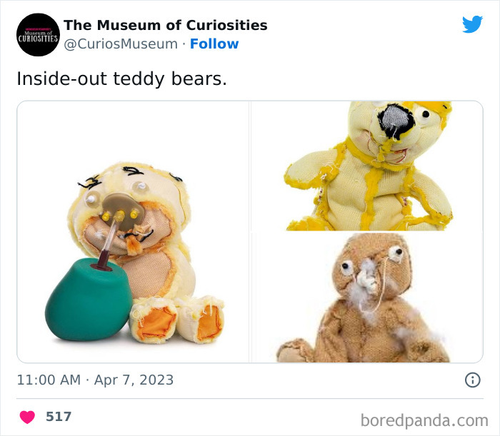 Interesting-Pics-The-Museum-Of-Curiosities