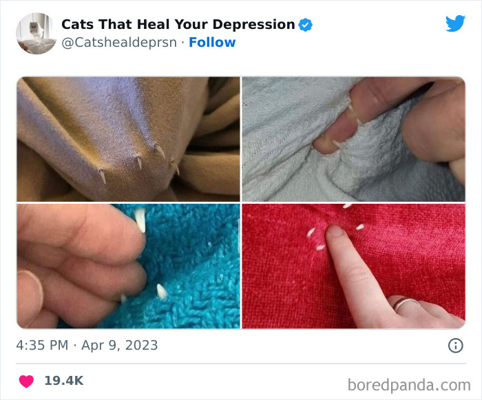 Heart-Warming-Cat-Pics