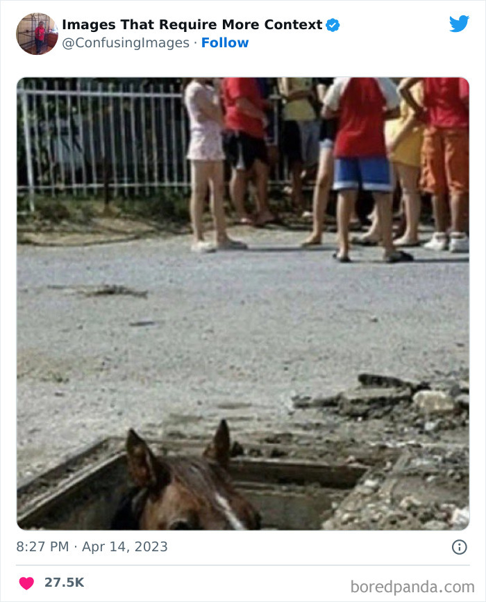 Weird-Images-Require-More-Context