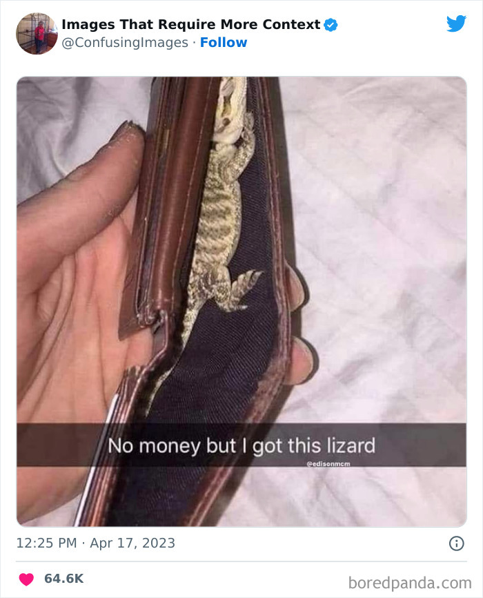 Weird-Images-Require-More-Context