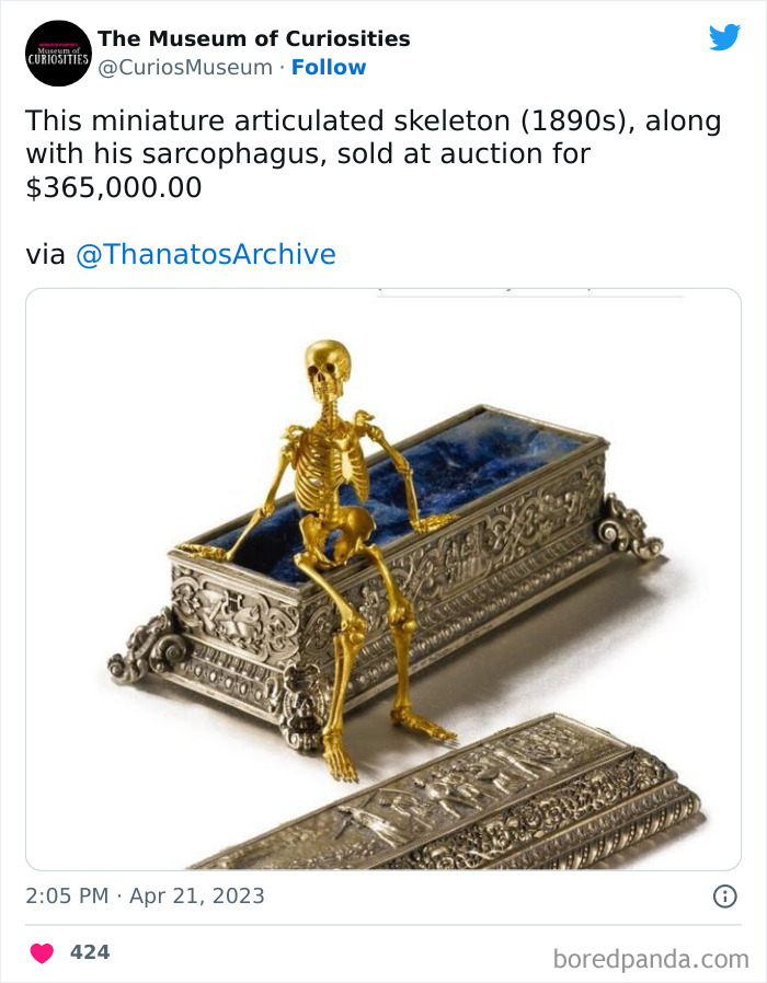 Interesting-Pics-The-Museum-Of-Curiosities