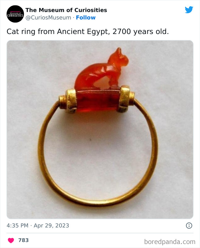 Interesting-Pics-The-Museum-Of-Curiosities