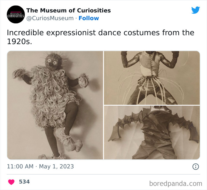 Interesting-Pics-The-Museum-Of-Curiosities