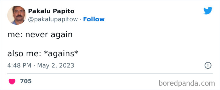 i say never again and then i do it again pakalu papito meme