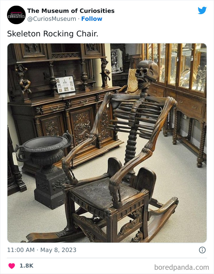 Interesting-Pics-The-Museum-Of-Curiosities