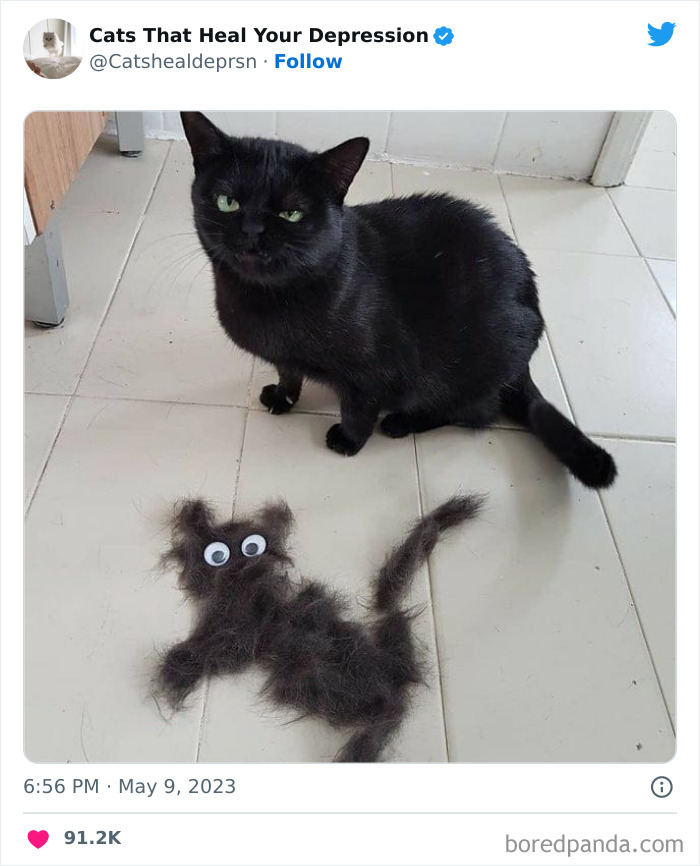 "Cats That Heal Your Depression": 50 Pics Of Adorable Felines Who Don't Even Know What Power They Hold