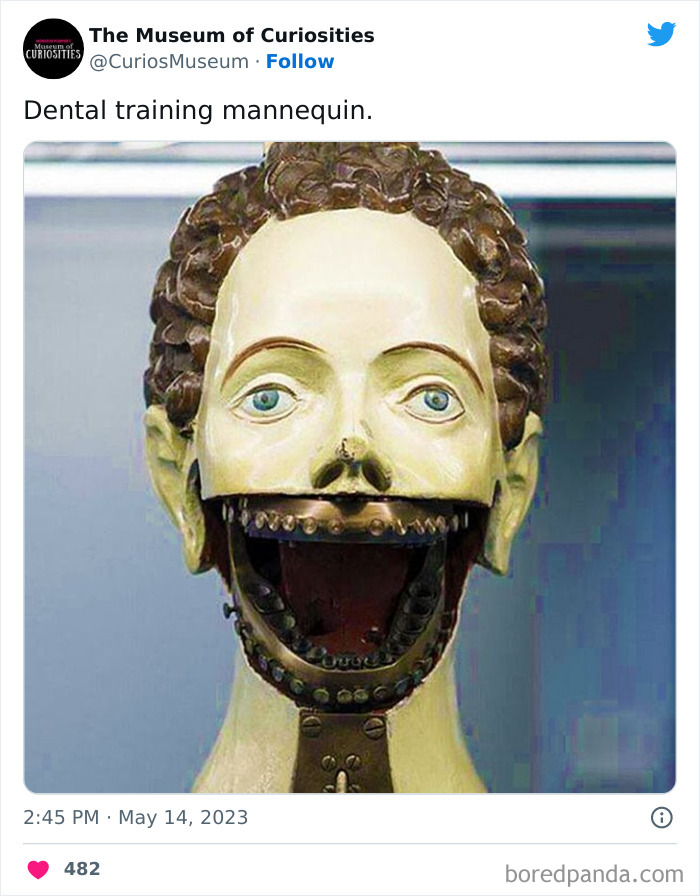 Interesting-Pics-The-Museum-Of-Curiosities