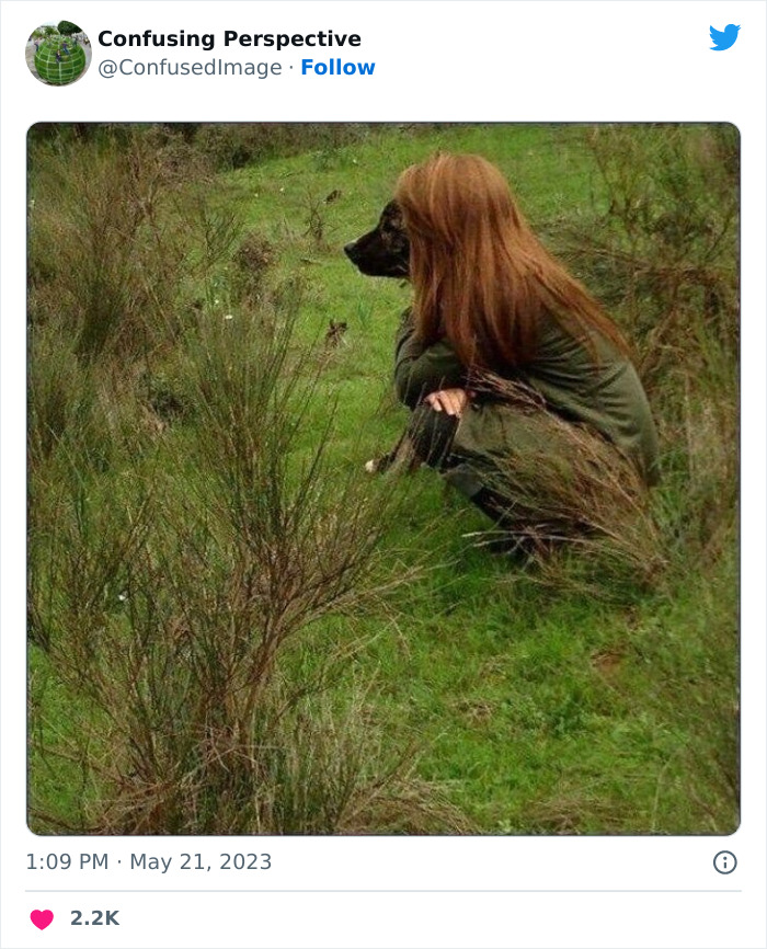 Optical-Illusion-Pics-Confusing-Perspective