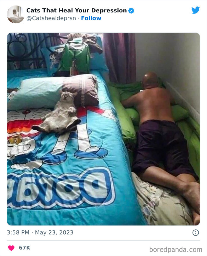 "Cats That Heal Your Depression": 50 Pics Of Adorable Felines Who Don't Even Know What Power They Hold