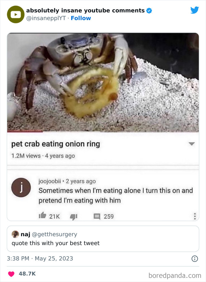 Absolutely-Insane-Youtube-Comments