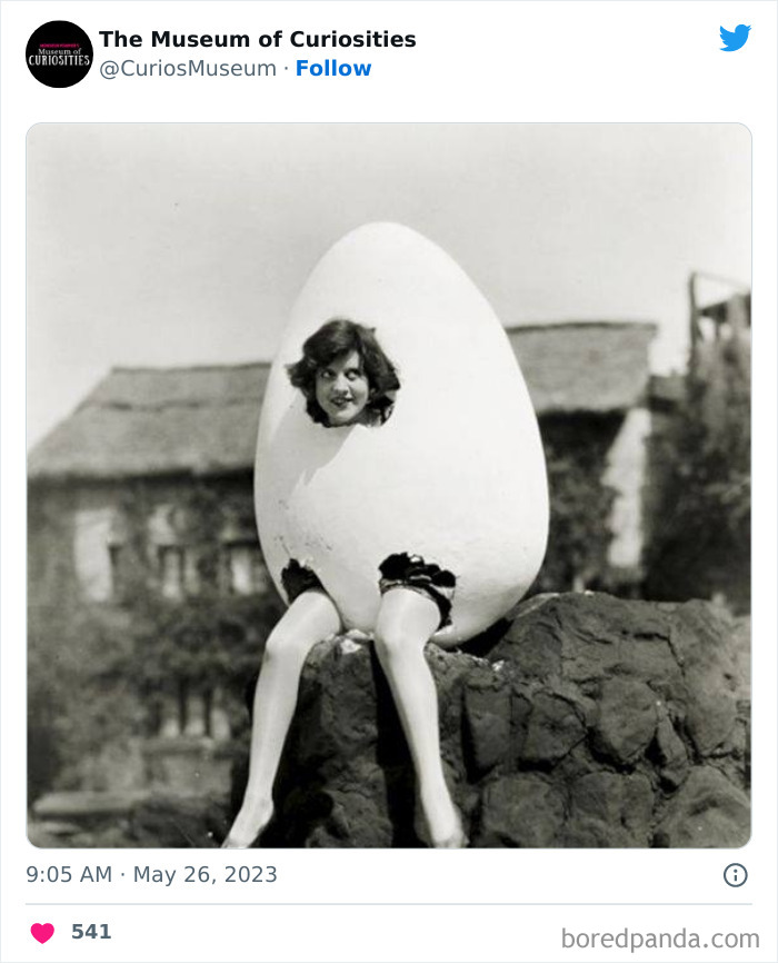 Interesting-Pics-The-Museum-Of-Curiosities