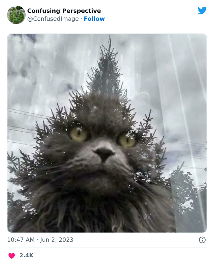 Optical-Illusion-Pics-Confusing-Perspective