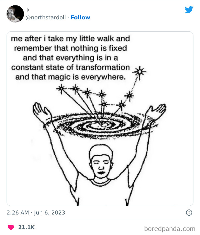 everything is in a constant state of transformation tweet meme