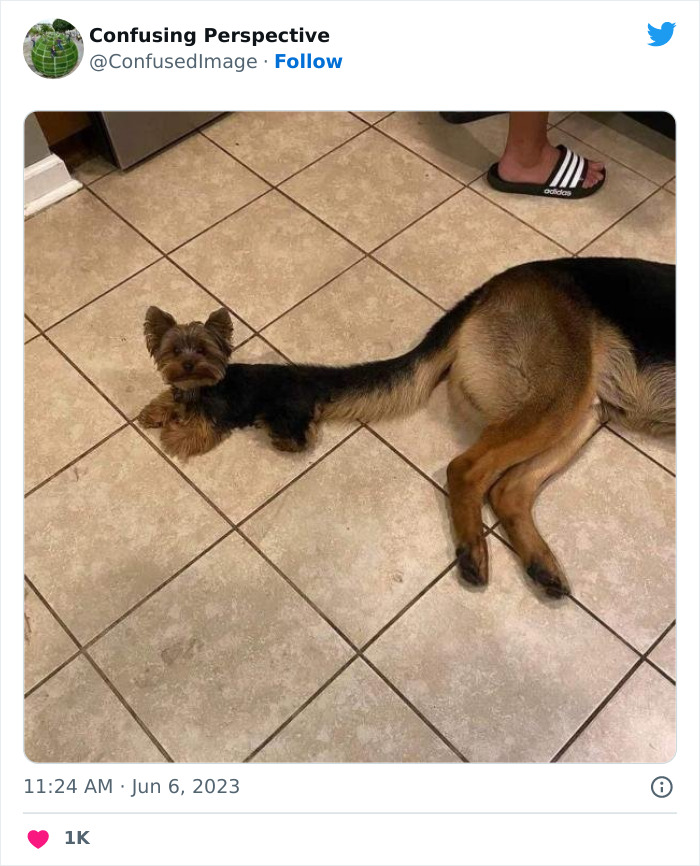 Optical-Illusion-Pics-Confusing-Perspective